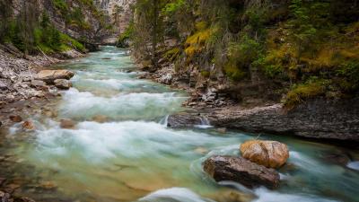 XHS Agent 开发博客：用 AI 自动化小红书内容运营的技术实践